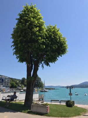 Feiern Sie Ihre Hochzeit am Wörthersee